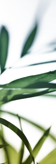 Accent image for Retirement Plan Times Newsletter: Advice at a Higher Level, Q4 2023